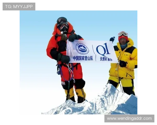 问鼎注册:从注册到品牌问鼎,企业打造行业龙头的实用指南 问鼎注册:从注册到品牌问鼎,企业打造行业龙头的实用指南