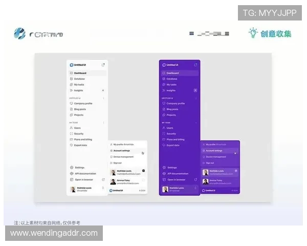 问鼎网站：网站设计与用户体验优化的关键要素详解与实践建议